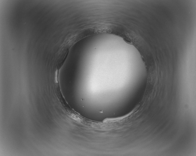 X0000056360041200509091634