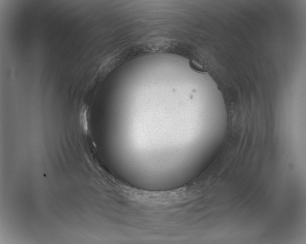 X0000056360042200509091634