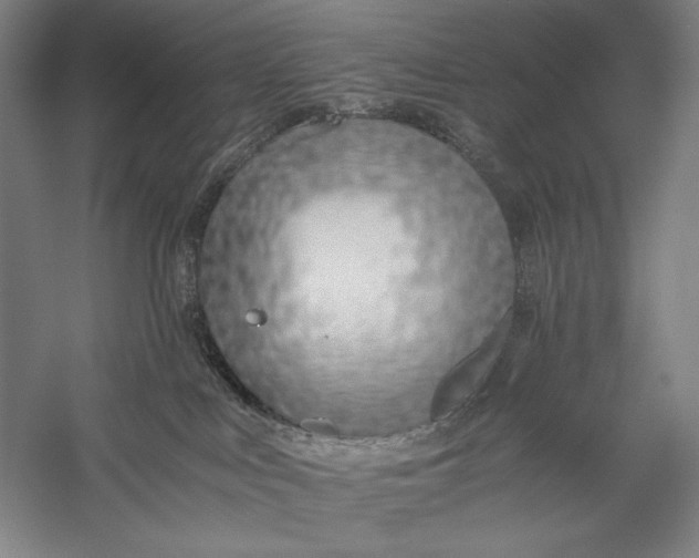 X0000056360043200509091634