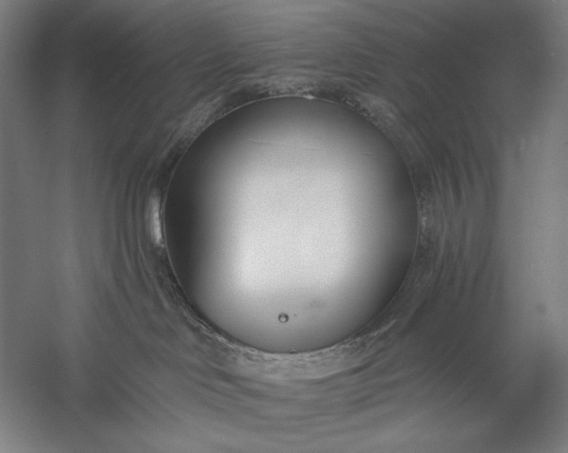 X0000056360046200509091634