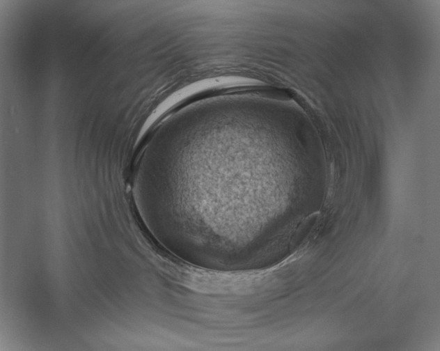 X0000056360048200509091634