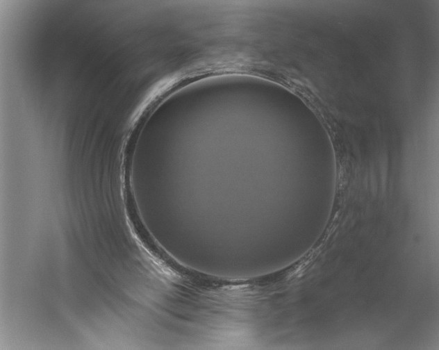 X0000056360054200509091633