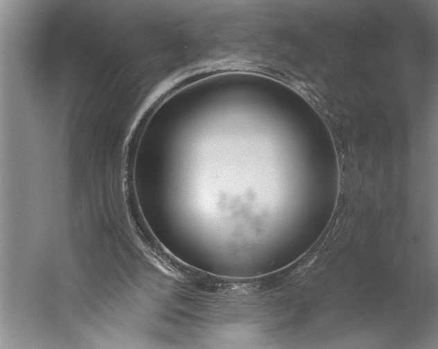 X0000056360056200509091633