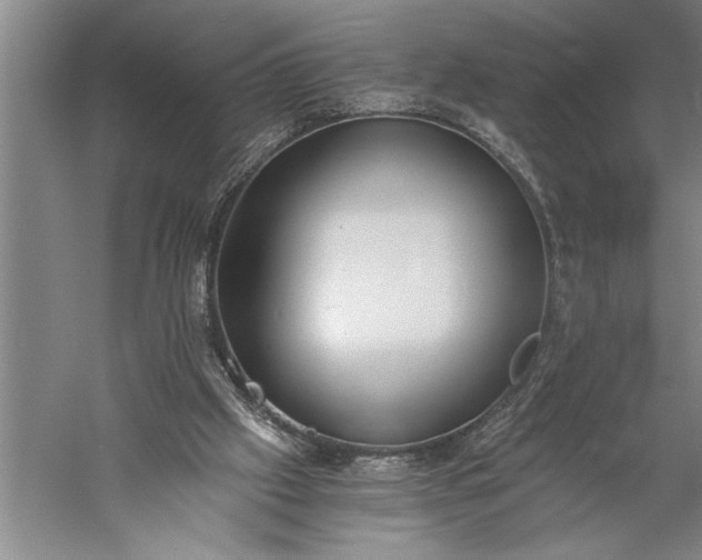 X0000056360057200509091633