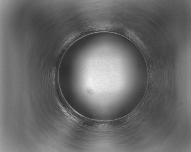 X0000056360058200509091633