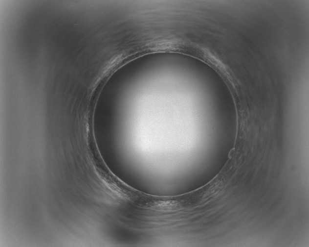 X0000056360059200509091633