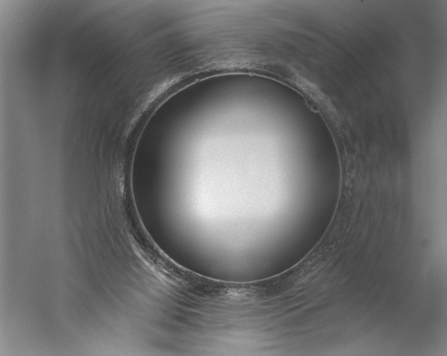 X0000056360060200509091633