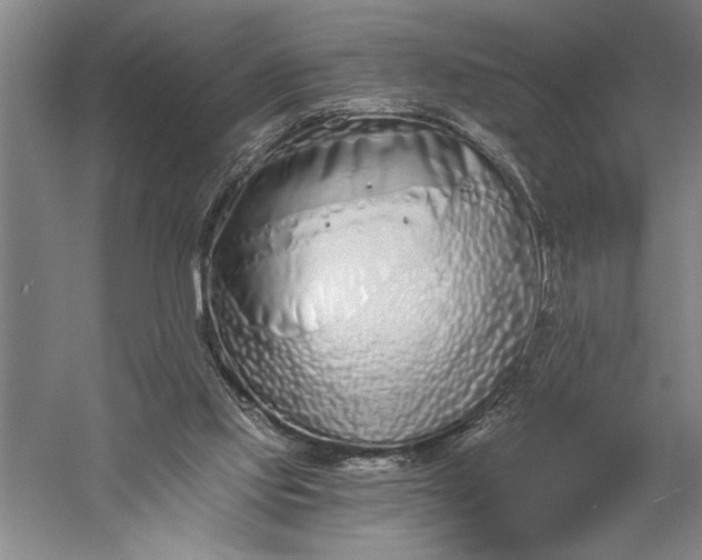 X0000056360061200509091633