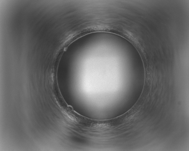 X0000056360063200509091633