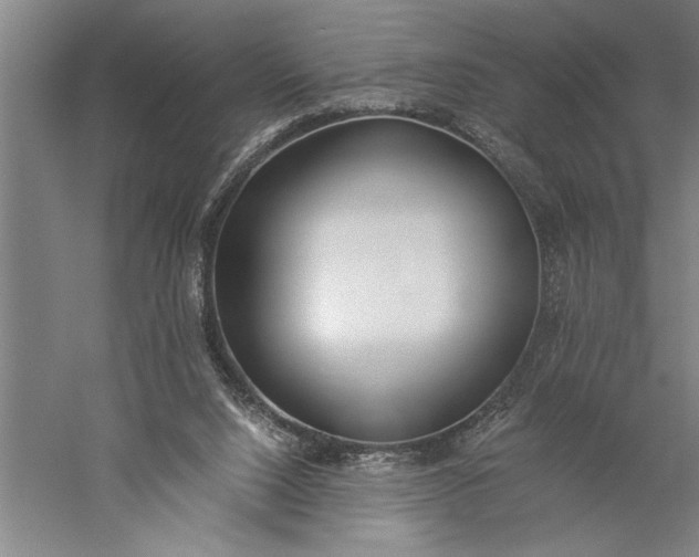 X0000056360064200509091633