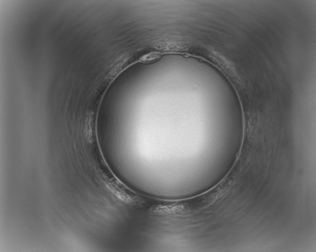 X0000056360065200509091633