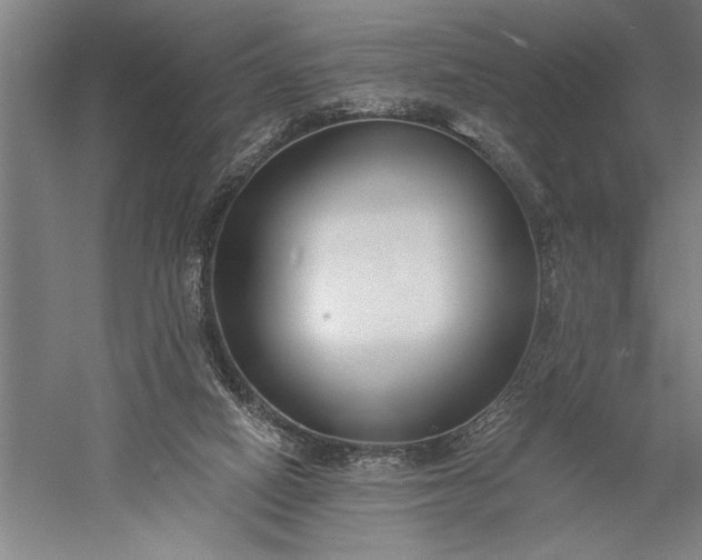 X0000056360066200509091633