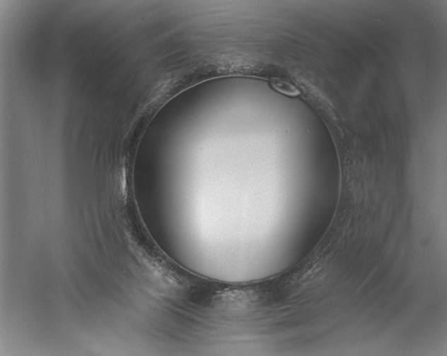 X0000056360067200509091633