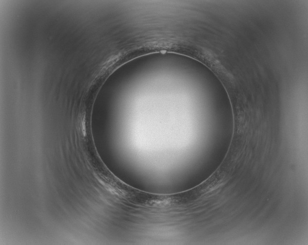 X0000056360068200509091633