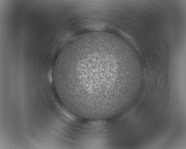 X0000056360069200509091633