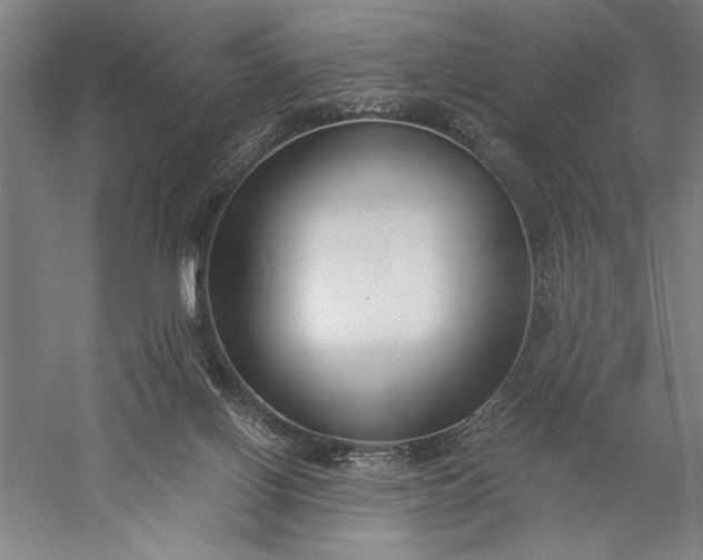 X0000056360070200509091633