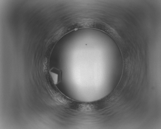 X0000056360073200509091634