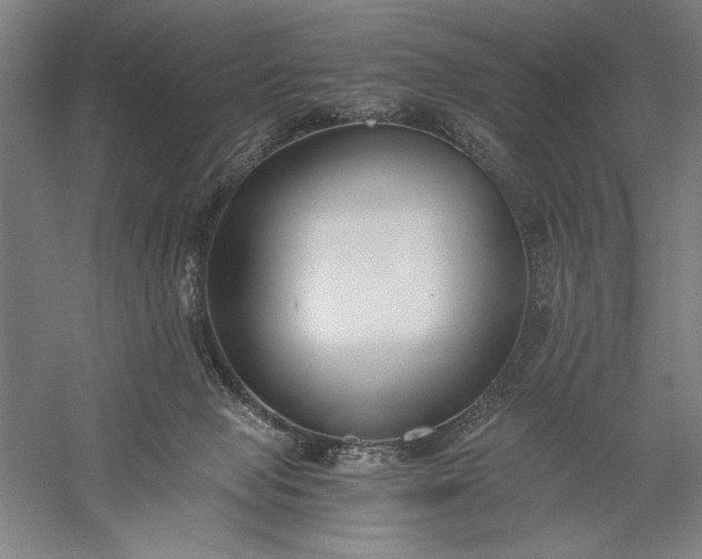 X0000056360077200509091634