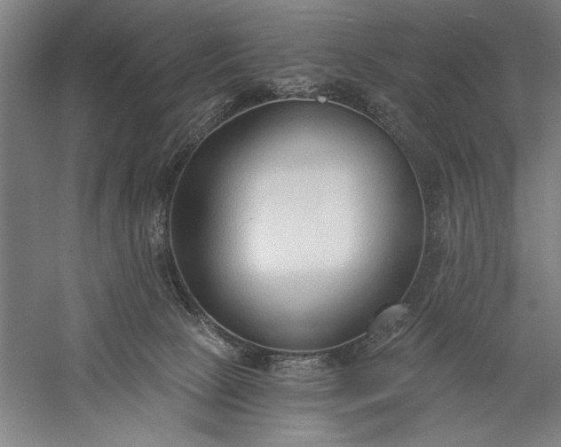 X0000056360081200509091634