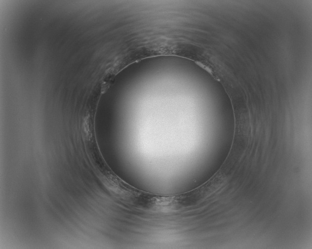 X0000056360088200509091634