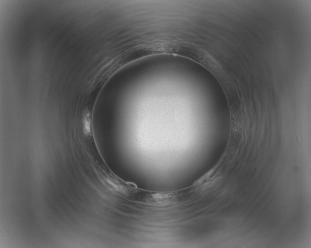 X0000056360095200509091634