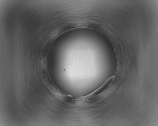 X0000056360096200509091634