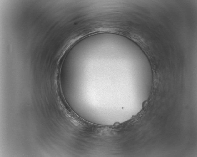 X0000056360098200509091633