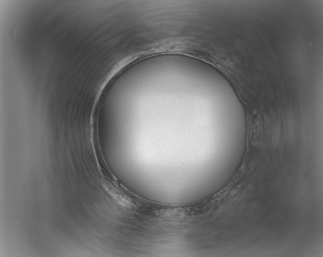 X0000056360100200509091633