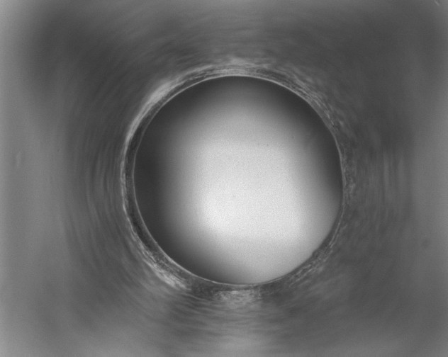 X0000056360102200509091633