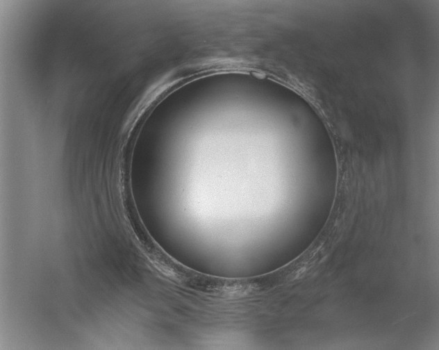 X0000056360103200509091633