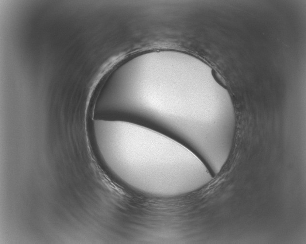 X0000056360104200509091633