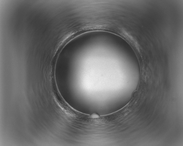 X0000056360107200509091633