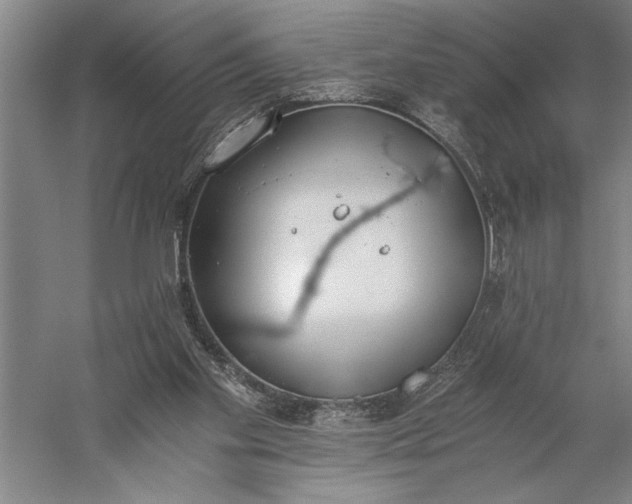 X0000056360109200509091633