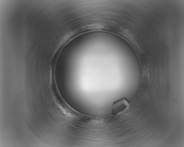 X0000056360110200509091633