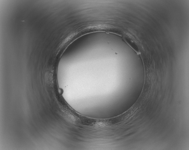 X0000056360111200509091633