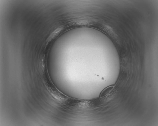 X0000056360116200509091633