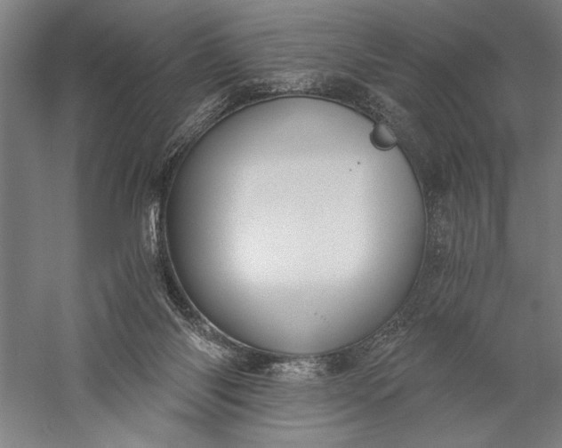 X0000056360118200509091633