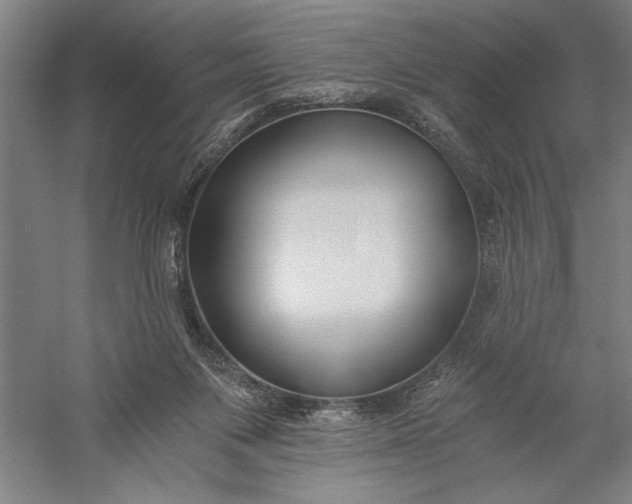 X0000056360119200509091633