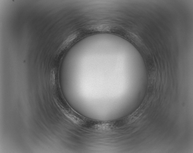 X0000056360120200509091633