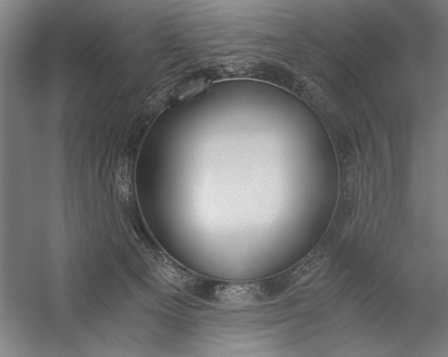 X0000056360129200509091633