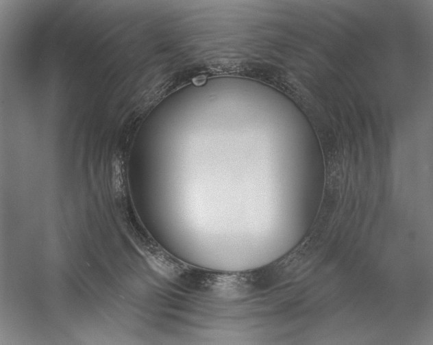 X0000056360130200509091633