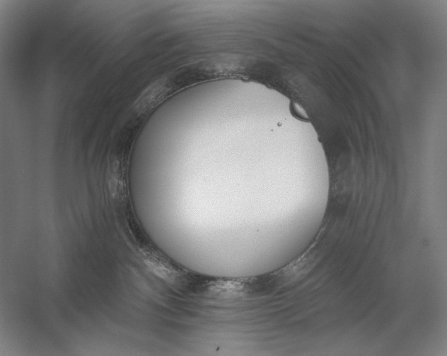 X0000056360140200509091632