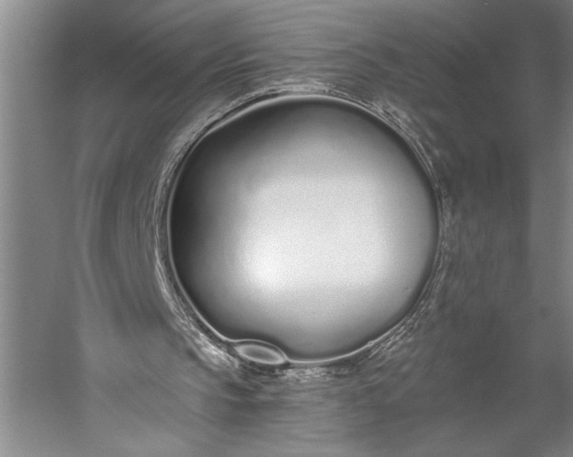 X0000056360145200509091631