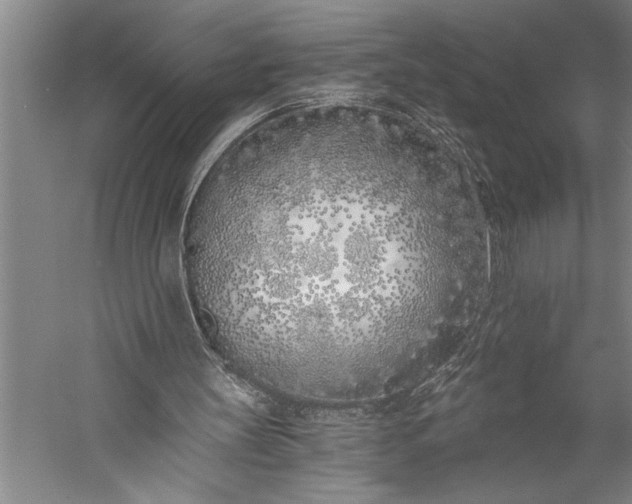 X0000056360147200509091632