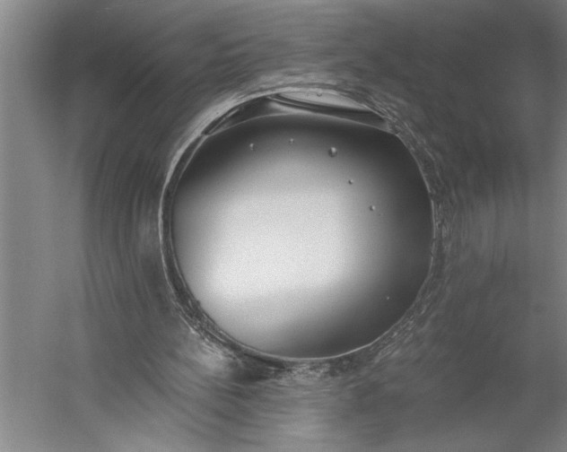 X0000056360148200509091632