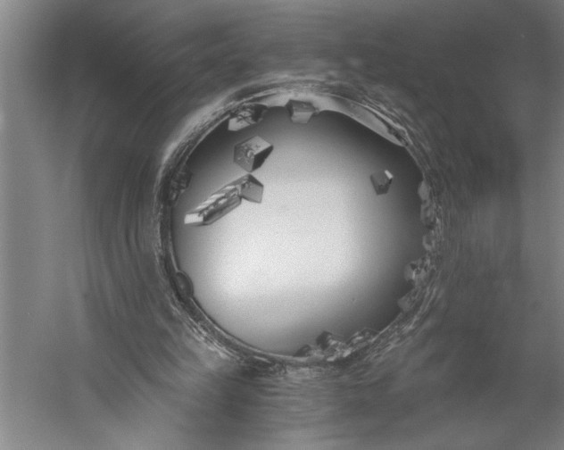 X0000056360149200509091632