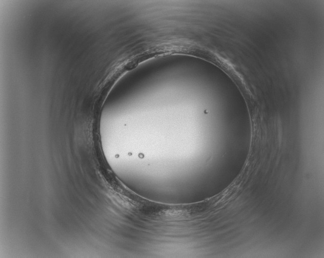 X0000056360154200509091632