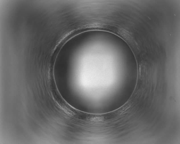 X0000056360156200509091632