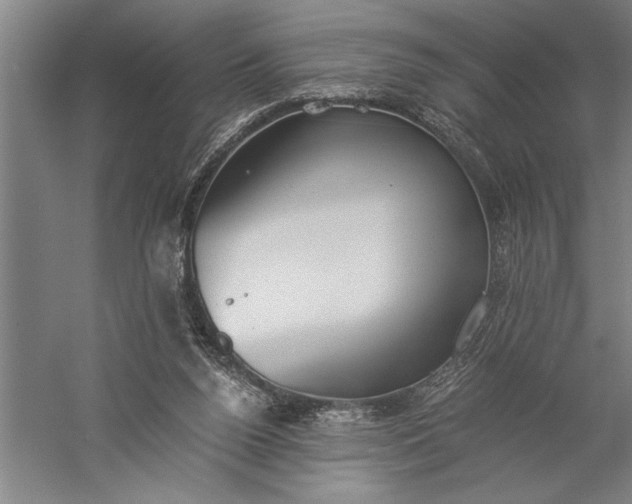 X0000056360160200509091632