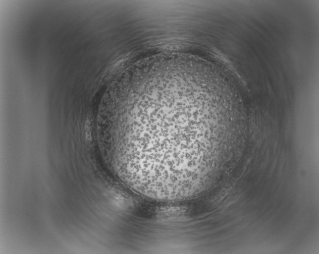 X0000056360161200509091632